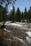 classic Sierra creek
