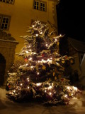 Weihnachtsbaum vor dem Sulzfelder Rathaus.jpg