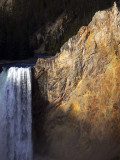 Lower Yellowstone Falls