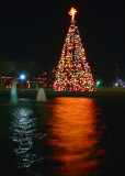 Texas Tech Lights - Winter Solstice 2010 (Gallery)