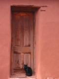Hubbell Trading Post  Cat