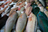 Fish at Papeete Market