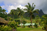 Moorea