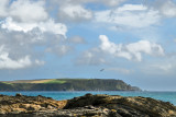 Nare headland from near Portscatho