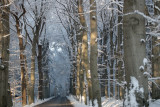Winter 2010
