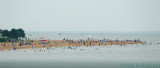 Sandy Point