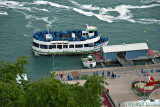 DSC61657.jpg