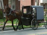 2006-04-15 Amish
