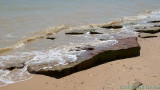 DSC32424.jpg