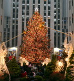 Rockefeller Center Christmas Tree.jpg