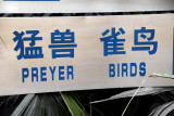 Birds of Prey 7096ch.jpg