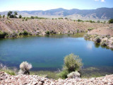 One of several connected pits filled with trout 2388.jpg