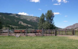 Corral at Upper Canyon Outfitters 020.jpg