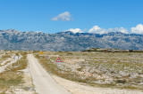 Croatia Pag DSC_2069.jpg