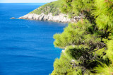 Croatia Mljet DSC_2280.jpg