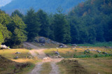 Montenegro Grabaje DSC_2862.jpg