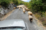 Albania NE DSC_3009.jpg