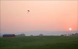Morning Has Broken
