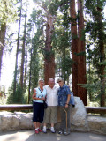 Sequoia - Maryse, Jojo et Rill