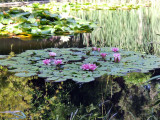 Huntington Gardens.jpg