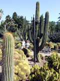 Huntington Gardens - Desert Garden4.jpg