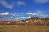 Vrsac Vineyard 2009