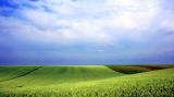 Clouds and Fields