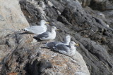 IMG_0004.JPG