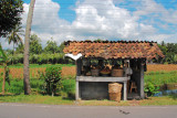 Salak fruit seller