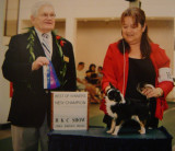 CH Lamaki Lil Oreo--New Champion!!