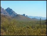 Ajo Mountains