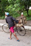 Going to Market