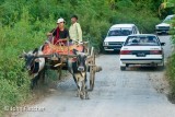 Sharing the Road