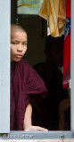 A Young Monk Observed from a Window