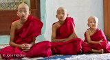 Enrobed as Buddhist Novitiates