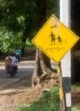 School Crossing