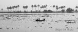 Fishermen