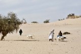 Desert at the Edge of Town