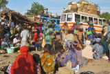 Market Scene