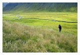 Iceland in green
