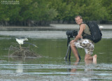 Ben and his Friend the Tricolored Heron