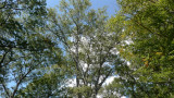 P1000078