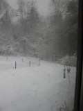 Bird Feeder and Garden in Late Winter Storm