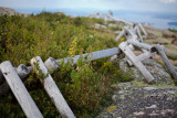 Fence on Top of Cadillac Mountain #1