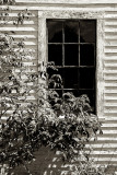 The Black House Barn 9/9/9 #2