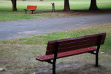 Childs Park Benches Variation