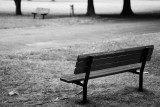 Childs Park Benches Monochrome