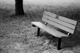 Childs Park Bench Monochrome