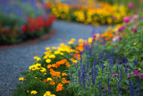 Childs Park Garden Path