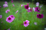 Cosmos in a Tunnel